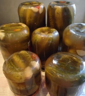 Огурцы соленые Огурцы соленые